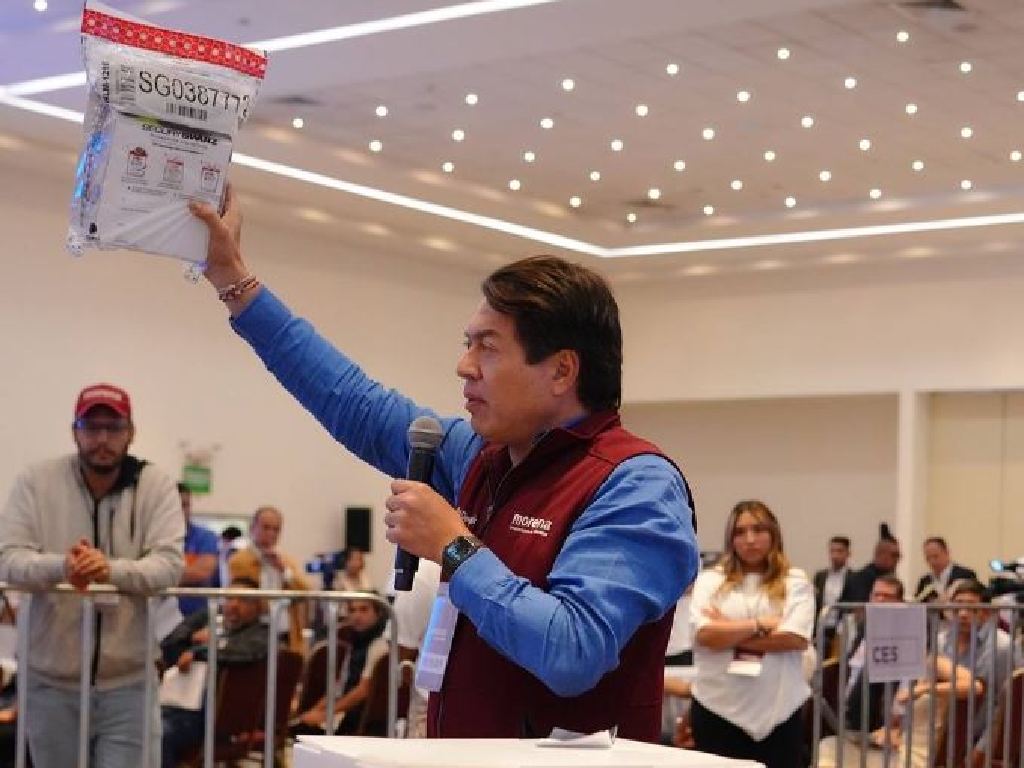 Ubica paquetes con anomalías en la encuesta de Morena: Delgado