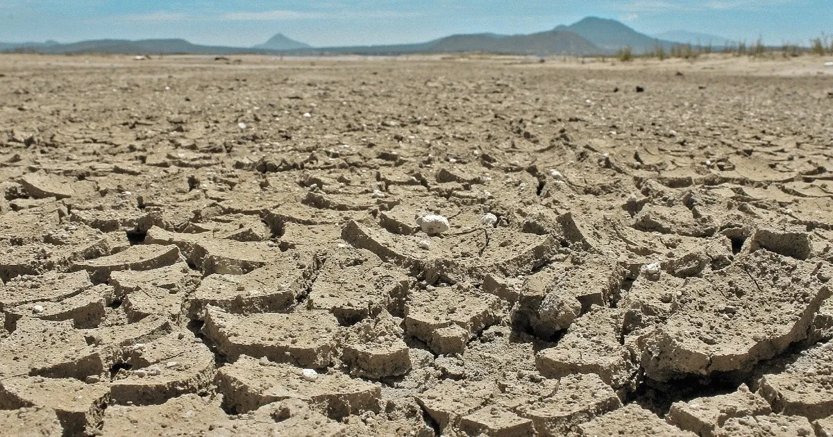Sólo 14.39% de México sin afectación por sequía