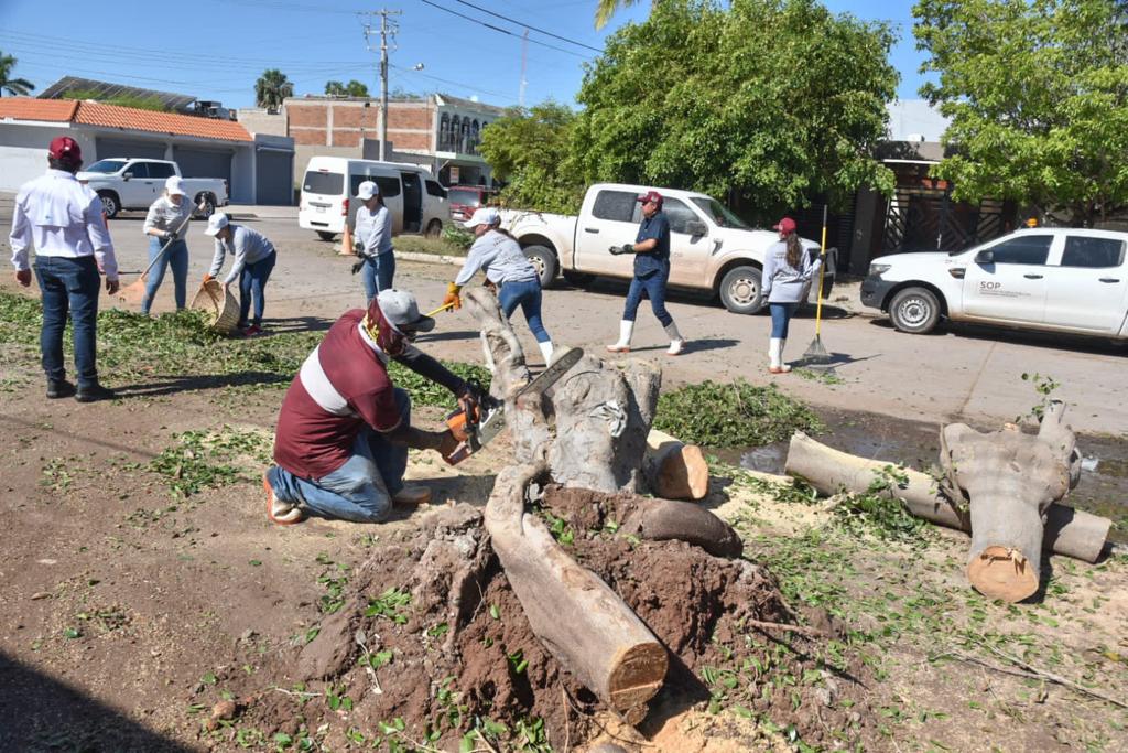 Se recupera Sinaloa, tras el paso de Norma
