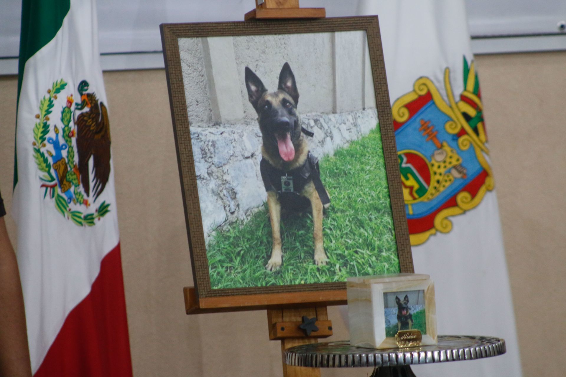 Elementos policiacos rindieron homenaje al oficial canino «Nidán», fallecido el viernes pasado durante un operativo de búsqueda de personas desaparecidas por Otis.