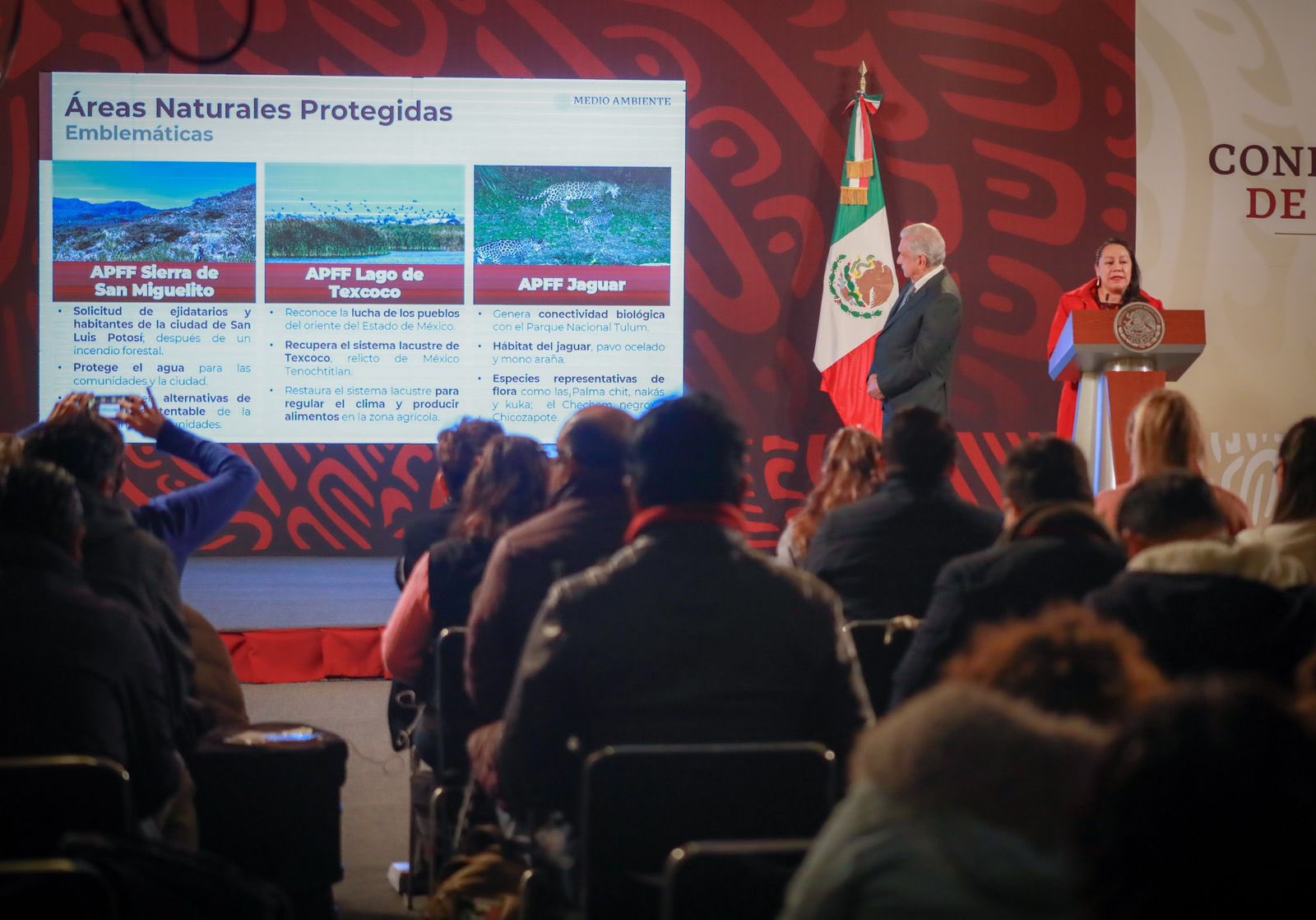 La Semarnat publicó en el Diario Oficial de la Federación (DOF) 20 decretos de nuevas Áreas Naturales Protegidas (ANP's) a lo largo de la República Mexicana.