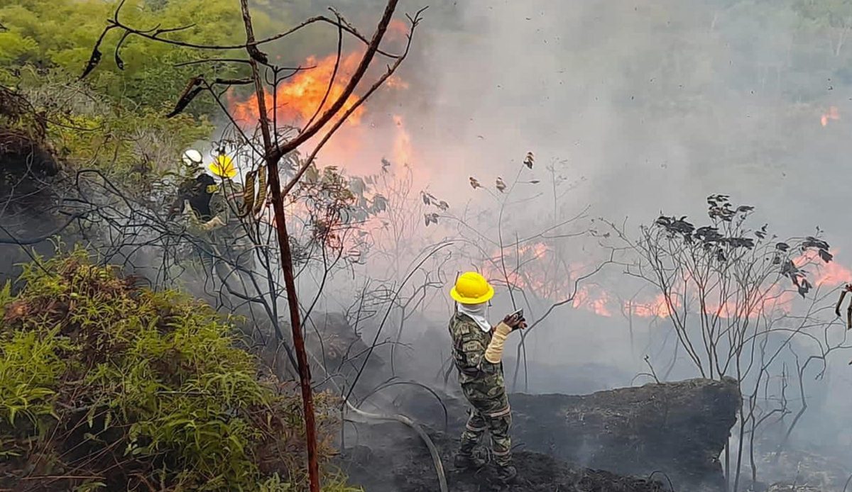 Colombia pide ayuda a la ONU ante incendios forestales