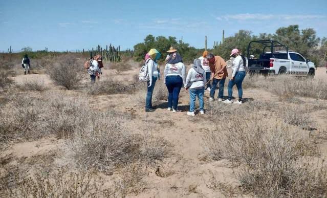 Confirman 57 víctimas en fosa del Choyudo