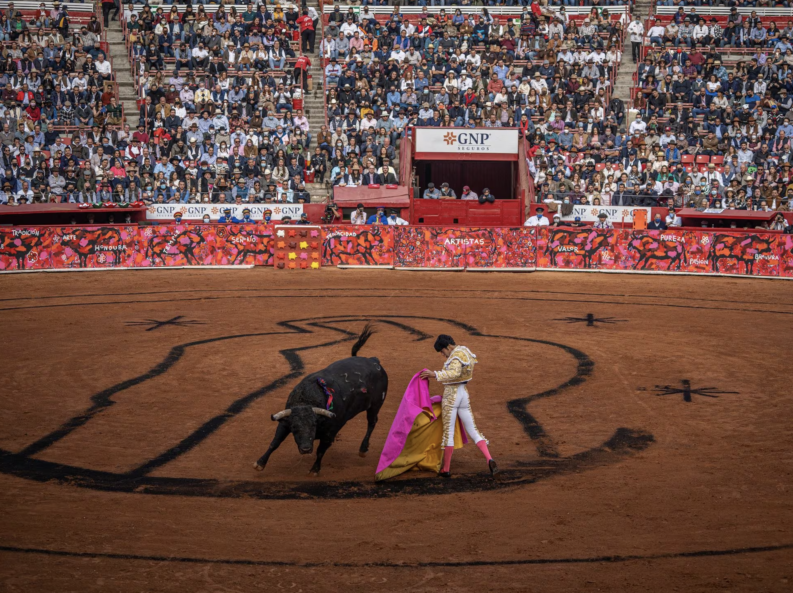 El diputado local Jorge Gaviño dio a conocer que este 13 de febrero será la audiencia para definir si se concede o no la suspensión a las corridas de toros.