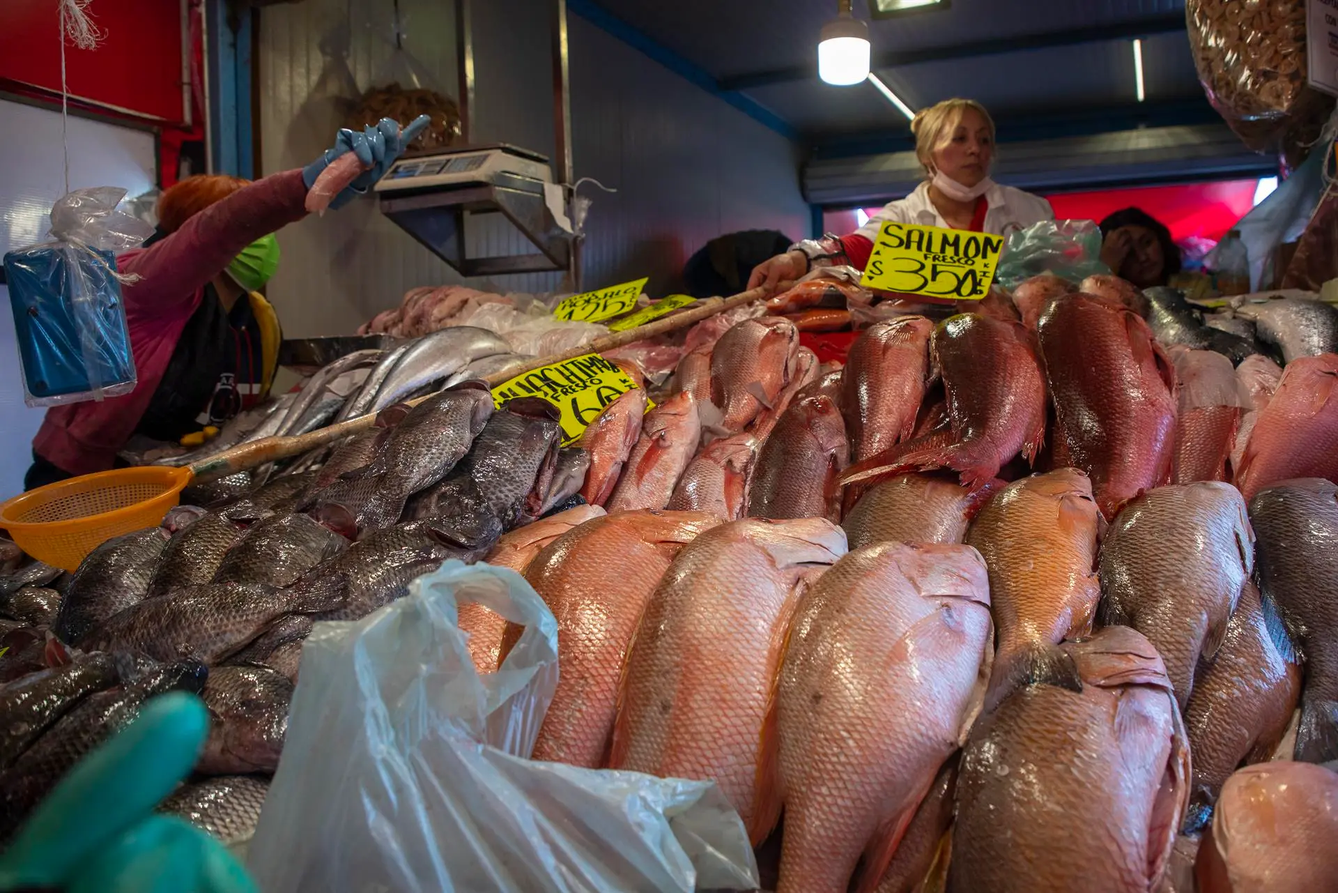Durante la temporada de Cuaresma en la CDMX, se espera una significativa derrama económica derivada de la venta de pescados y mariscos.