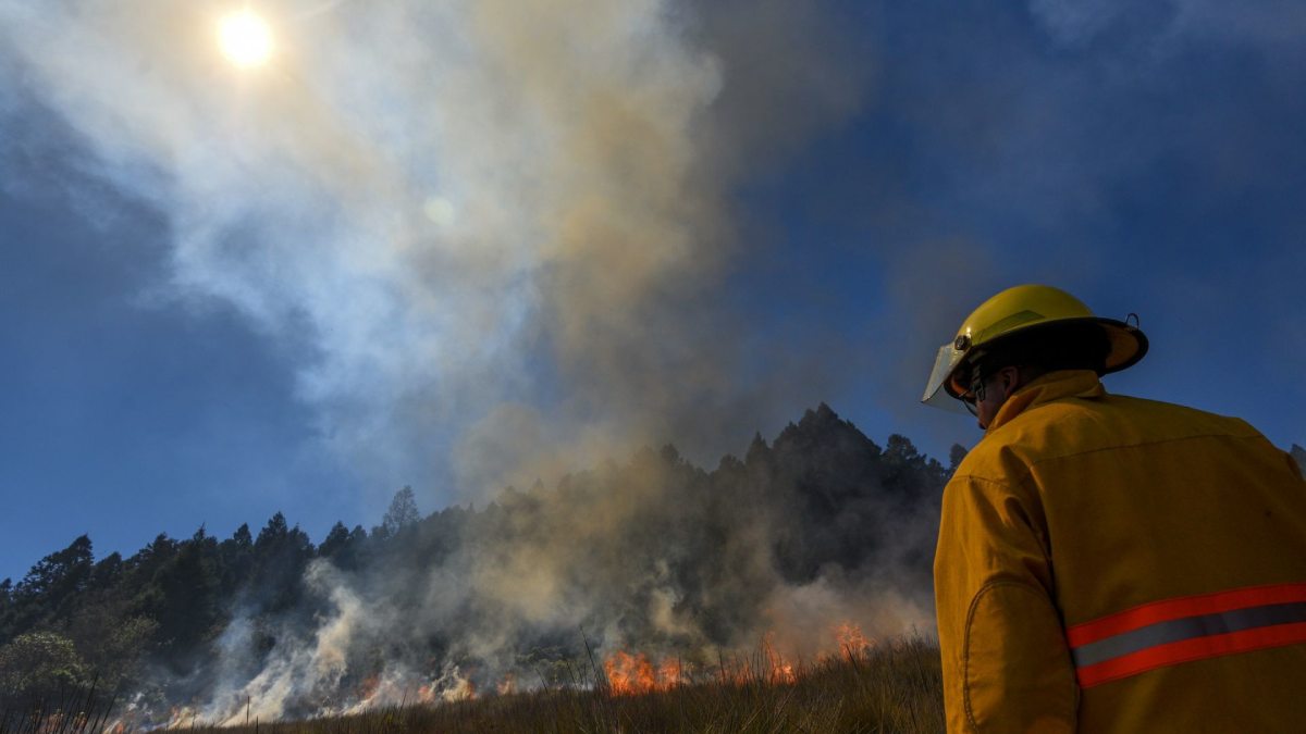 Se avivan incendios en puntos de México