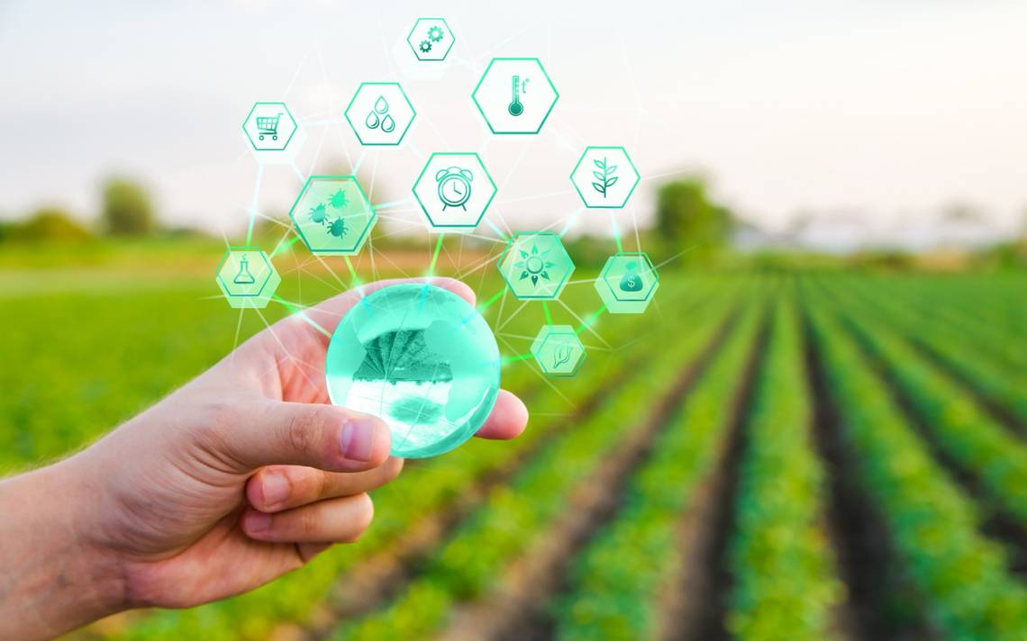 Agroindustria avanza hacia sostenibilidad con digitalización: Daniel Madariaga Barrilado