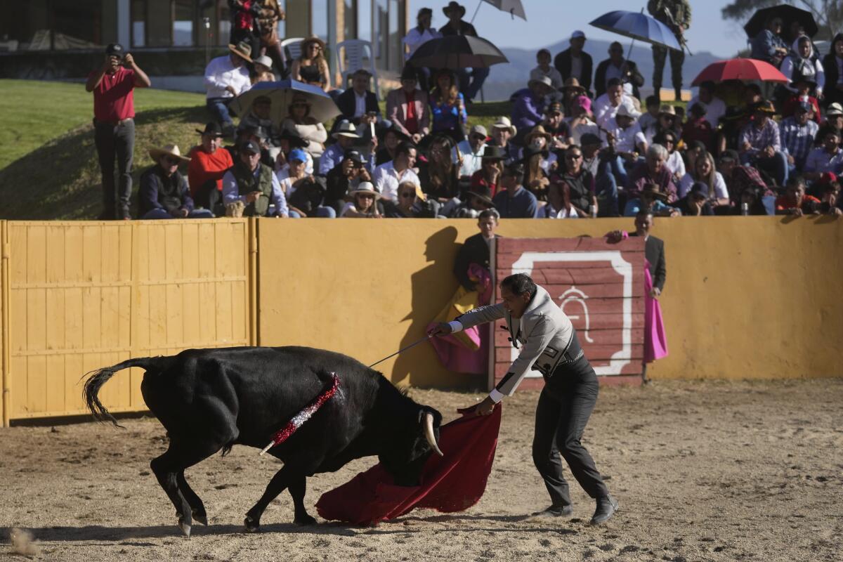Colombia aprueba la prohibición de las corridas de toros